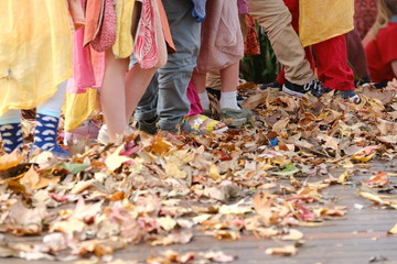 fall, autumn, school, harvest, season, holiday, festival, organic, food, celebrate, market, halloween, pumpkin, rustic, tradition, harvesting, kids, childhood, children, health, vegetarian, kid, veget