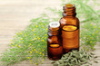 © Amy Lv - Fennel essential oil in the amber bottle with fennel flowers on the wooden board
