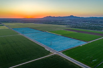 Wall Mural - Yuma Irrigated Farmland