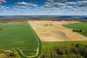 Wall Mural - Green fields in spring afternoon, west Latvia.