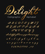 Vector gold font and alphabet. Set of cursive letters and numbers. Brush type