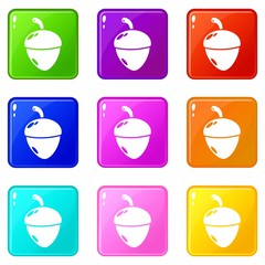 Poster - Acorn icons set 9 color collection isolated on white for any design