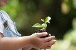 © Asada - Asian kid holding the young green plant in hand. Ecology and safe world concept.