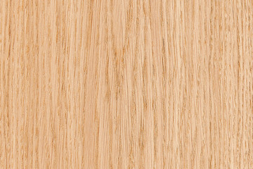 light brown tree wood wallpaper structure texture background pattern