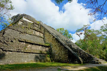 Wall Mural - Guatemala archaeological site of Tikal