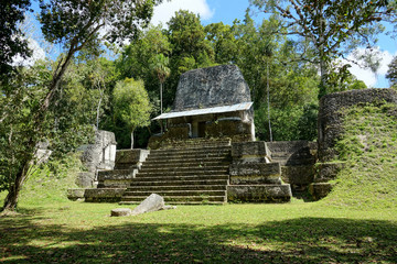 Wall Mural - Guatemala archaeological site of Tikal