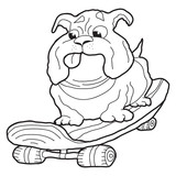 Fototapeta Dinusie - Cartoon doodle illustration of cute dog on skateboard for coloring book, t-shirt print design, greeting card