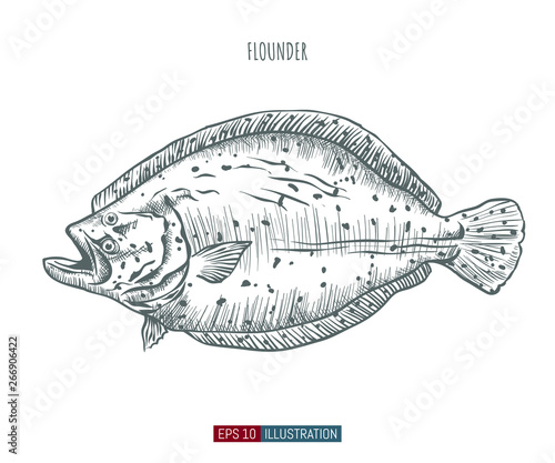 Hand drawn flounder fish isolated Poster Mural XXL