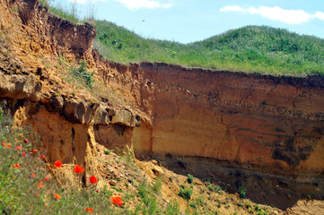 View to a historic gravel pit in a natural habitat of sand martin flight of flock Riparia riparia, overflow from the subtropical sea 300 million years ago in Rhineland-Palatinate           