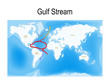The Gulf Stream is a warm and swift Atlantic ocean current