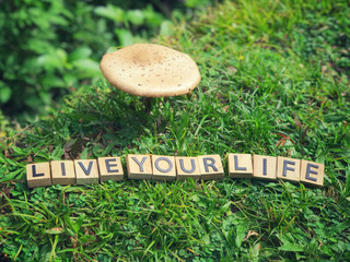 Wall Mural - Motivational and inspirational wording - Live Your Life written on wooden blocks.