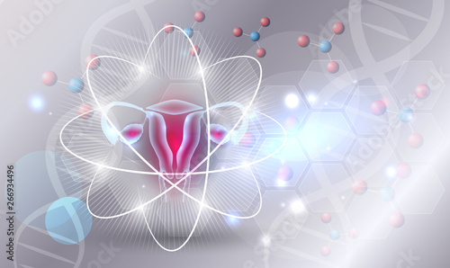 Fototapeta Female uterus treatment research concept