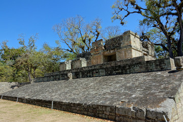 Wall Mural - Hondura Copan Ruinas