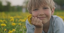 Pretty Caucasian Boy Lying On A Spring Meadow And Looks. Happy Child Lies On Daisies Field, Closeup View. Cute Smiling  Face Of A Blond Hair Boy, On The Meadow. Happiness And Childhood. Slow Motion