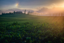 Picturesque Landscape Of Green Fields With Cottage And Trees In Bright Sunset Light, Italy