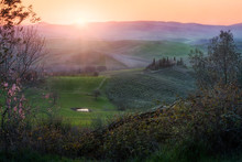 Picturesque Landscape Of Green Fields With Cottage And Trees In Bright Sunset Light, Italy