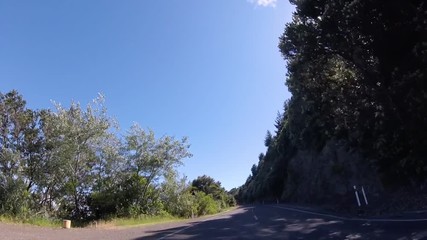 Wall Mural - POV Drive in Bay of Plenty, New Zealand