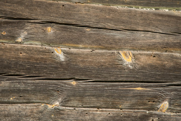 Old boards. Beautiful patterns on the close-up of old wood.