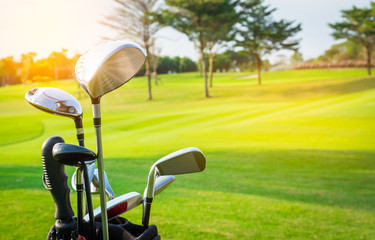 Wall Mural - Close up golf clubs drivers in golf luggage over green field and sunlight rays background.