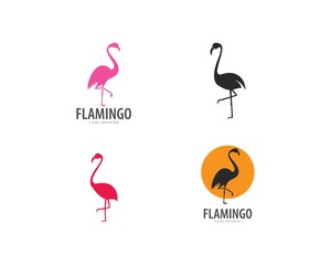 Poster - Flamingo logo ilustration vector