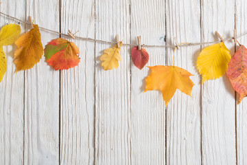 Poster - autumn leaves on wooden background