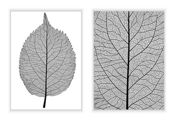 Wall Mural - Beautiful background texture leaf  with leaves and space for text. Vector illustration. EPS 10.