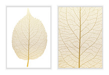 Beautiful Background Texture Leaf  With Leaves And Space For Text. Vector Illustration. EPS 10.