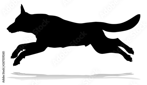 A detailed animal silhouett...