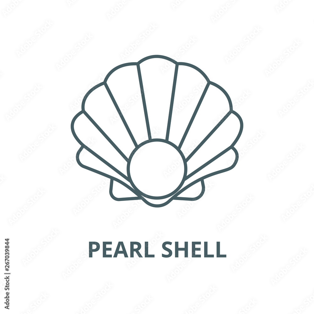 Pearl shell vector line icon, outline concept, linear sign