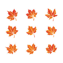 Wall Mural - designer
