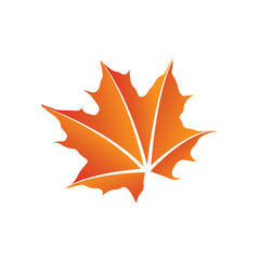 Wall Mural - maple leaf logo icon design template vector