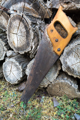 Old handsaw resting on a pile of wooden lumber