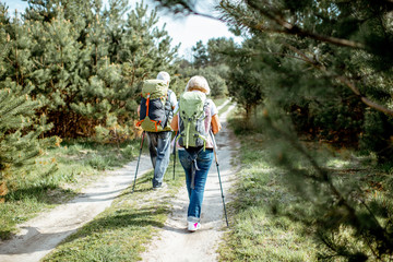 senior couple hiking with backpacks on the road in the young pine forest, back view