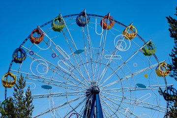 Ferris wheel in the city patch. Picture taken against the backdrop of fir trees and blue sky.