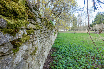 Sticker - moss on the stone wall