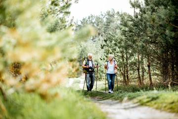 Wall Mural - Happy senior couple hiking with trekking sticks and backpacks at the young pine forest. Enjoying nature, having a good time on their retirement