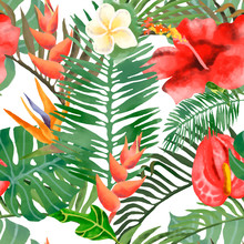 Beach Funny Seamless Wallpaper Of Tropical Dark Green Leaves Of Palm Trees And Colors Of The Rainbow (Strelitz) And Callibri.