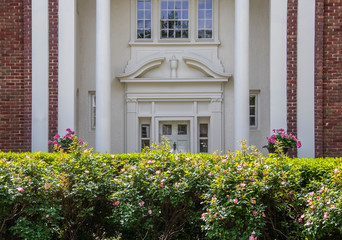 Wall Mural - Elegance - Rosebush hedge that needs trimmed in full sun in front of shadowed blurred ornate entrance to upscale brick and stucco home with columns and potted flowers