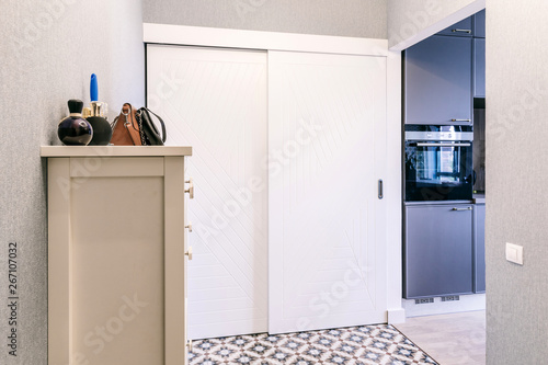 Entrance Hallway In A Modern Apartment With A Minimalist Design