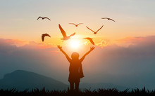 Women Holding Hands On The Mountain Evening Sunshine Show Freedom And Flying Birds Silhouette