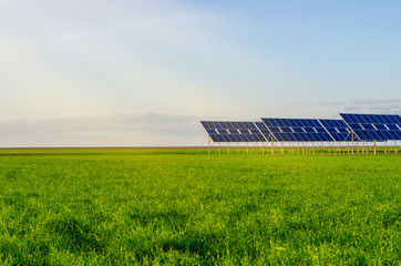 Solar panels in a field on green grass. Environmentally friendly