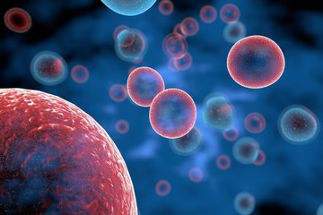 Wall Mural - t cells attacking cancer cells 3d illustration