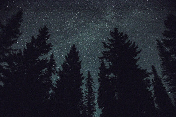 Wall Mural - Night Sky from Hungry Horse Reservoir in Flathead National Forest in Montana