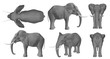 elephant set of elephants
