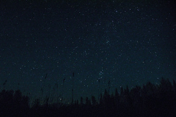 Wall Mural - Night Sky in Polebridge, Montana in Northwest Glacier National Park 