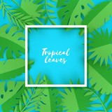 Fototapeta Kwiaty - Abstract paper cut leaves for banner design. Party invitation.Vector floral template. Jungle foliage illustration. Tropical paper palm, monstera leaves with white frame on blue background.