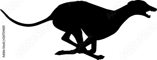 Fotomural Greyhound 6 isolated vector silhouette