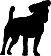 Jack Russell Terrier 7 isolated vector silhouette