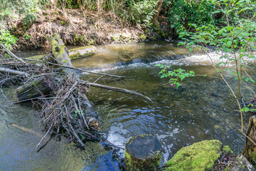 Creek And Posts 3