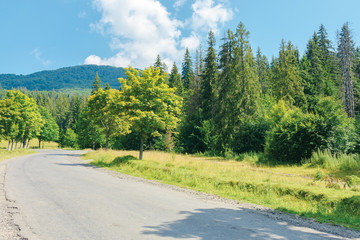 old country road in to the mountains. nature scenery with trees along the way. sunny summer landscape with clouds on a blue sky